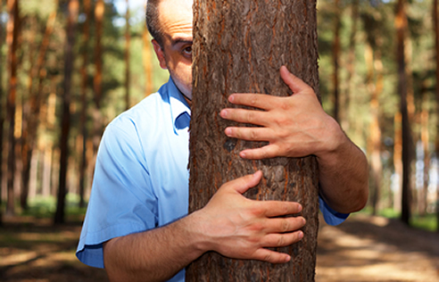 tree-hold